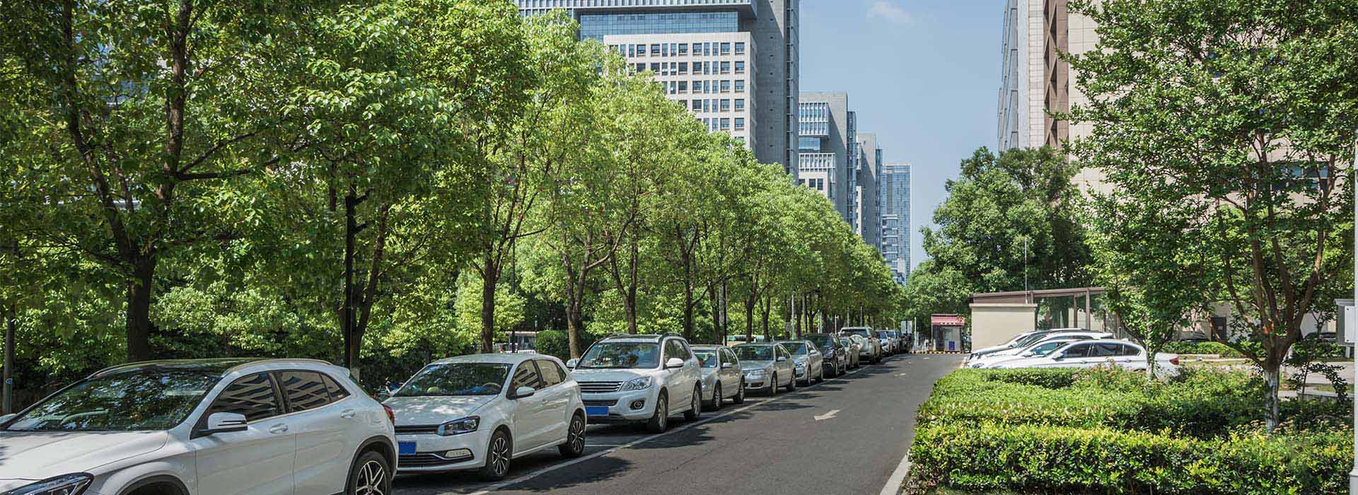 ��ҵ԰����糡��