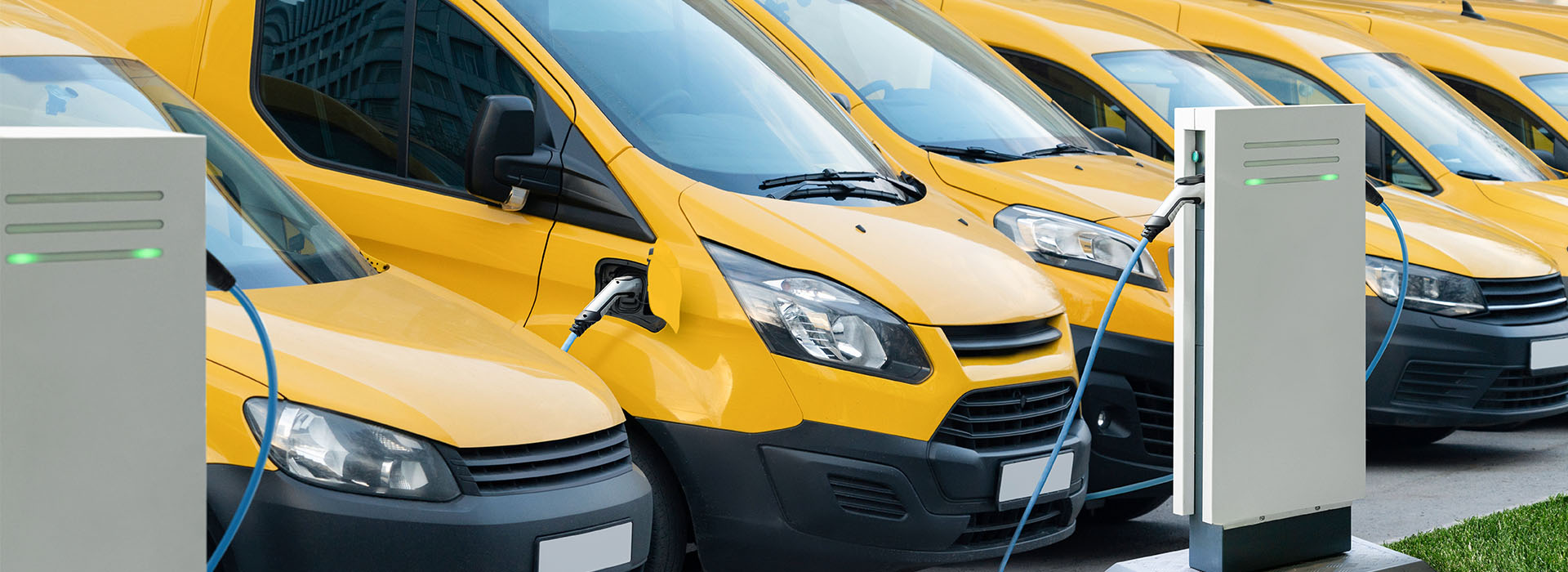 ������Ӫ������糡��